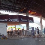 [シンガポール探訪記] Day8-2 Flower Dome and Cloud Forest