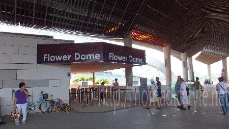 [シンガポール探訪記] Day8-2 Flower Dome and Cloud Forest